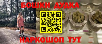 гидропоника Сланцы