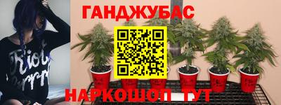 прущие крисы Славянск-на-Кубани