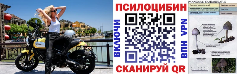 закладки  shop состав  blacksprut ONION  Галлюциногенные грибы прущие грибы  Мариинск 